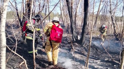 Семей Орманы снова горит (ВИДЕО)