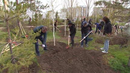 Астанада түрлі елдің елшілері ағаш екті