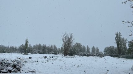 Жамбылда қар жауды