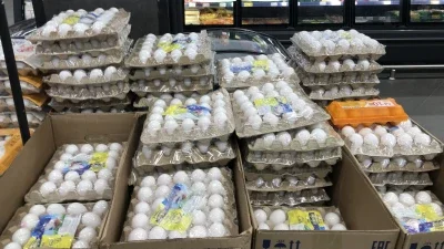 Елге тауық жұмыртқаларын әкелуге уақытша тыйым салынды