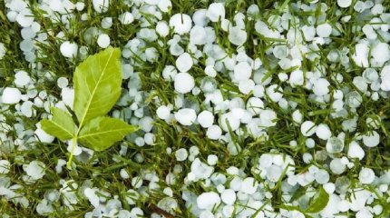 В 14 областях Казахстана объявлено штормовое предупреждение