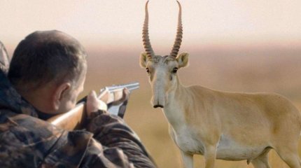 Жыл басынан экологиялық заңнаманы бұзудың 7 мыңнан астам дерегі анықтады - ІІМ