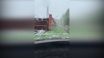 Жамбыл облысында  күн күрт суытты