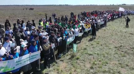 В рамках республиканской акции «Таза Қазақстан» в области Абай высадили около 60 тысяч саженцев