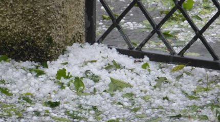 Грозы, ветер, град и снег: неустойчивую погоду в мае обещают синоптики