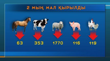 Эпидахуал бақылауда