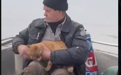 Мужчину с кошкой спасли в Акмолинской области