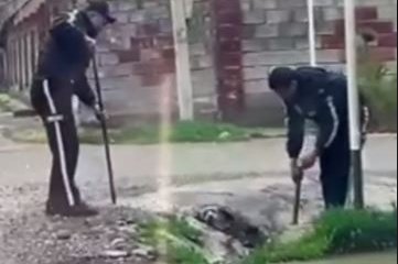 Застрявшую в канаве собаку спасли полицейские в Шымкенте