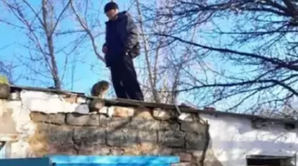 "Телефоны өшіп қалған": тасқыннан қорғану үшін шатырға шыққан батысқазақстандық құтқарылды