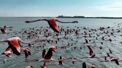 Ақтау 2025 жылы түркі әлемінің астанасы болады