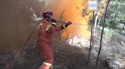 Румыния мен Грецияда орман өрті өршіп тұр