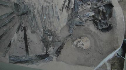 Павлодарские археологи изучают историю кимаков по насекомым