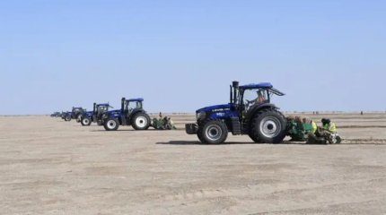 Аралдың құрғаған ұлтанына 15,3 млн түп сексеуіл көшеттері отырғызылды