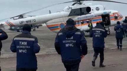 Қарақамыс ауылына 2 тонна көлемінде гуманитарлық көмек жеткізілді