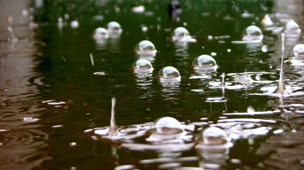 Дожди, туманы, град: о погоде на три дня рассказали синоптики