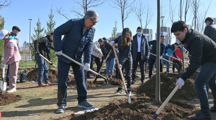 Озеленять и очищать города поручил Глава государства акимам