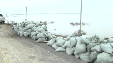 Мемлекет басшысы су басқан аймақтардың әкімдерімен телефон арқылы сөйлесті