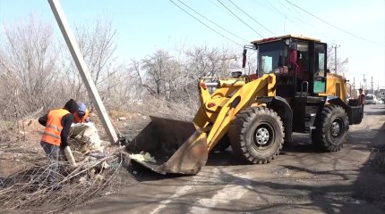 В Алматы стартовала масштабная экологическая кампания