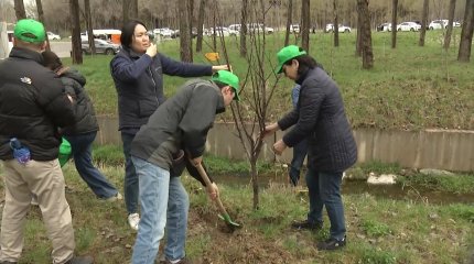 100 саженцев деревьев высадили в одном из парков Алматы