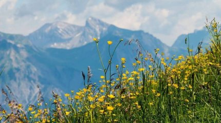 Мамыр айында күн райы қалай құбылады?