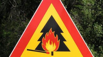 Высокая и чрезвычайно высокая пожарная опасность объявлена в нескольких регионах Казахстана. Погода на 12 мая