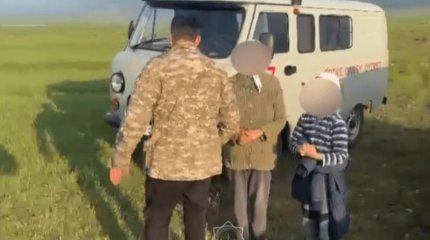 Жамбыл облысында саңырауқұлақ теруге шыққан әйел жоғалып кетті