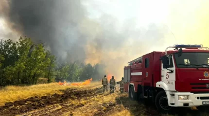 14 адам қаза тапқан «Семей орманындағы» өртке кінәлі екі адам 7 жылға сотталды
