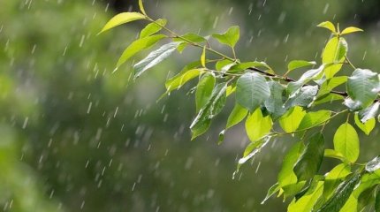 Синоптиктер алматылықтарға ескерту жасады