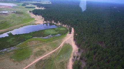 Ертіс орманына кіруге тыйым салынды
