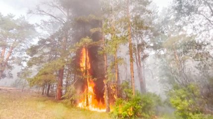 72% пожарных машин в лесных хозяйствах Казахстана подлежат списанию,- Е. Нысанбаев