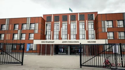 Мектепке пышақпен кіру. Бала психологиялық көмекке зәру болған