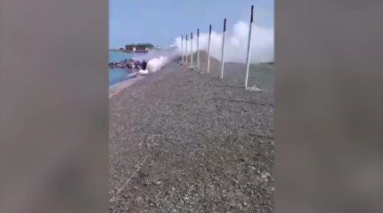 Абай облысы Мақаншы ауданында қауіпті қоңыз қаптады