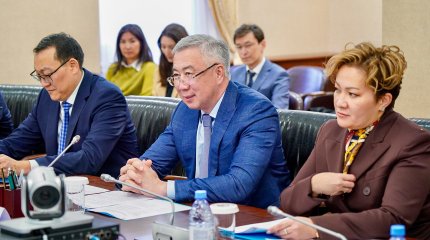 Жумангарин предложил Вьетнаму производить батареи для электромобилей в Казахстане