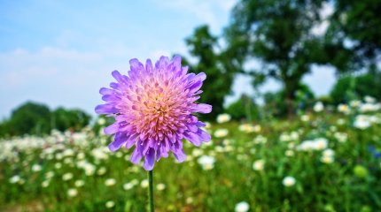 Казахстанцев ждет дополнительный выходной в июне