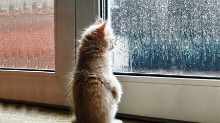 Штормовое предупреждение объявлено в 17 регионах Казахстана: погода на 18 мая