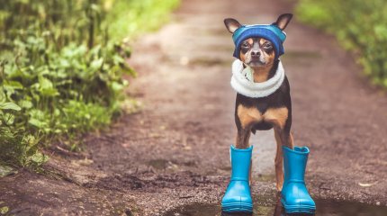 Погода на воскресенье 19 мая в городах Казахстана