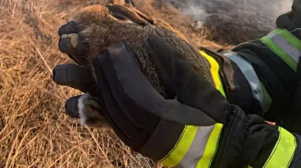 "Көжектер ұйықтап жатыр". ТЖМ қазақстандықтарға ескерту жасады