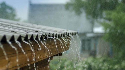 Ертең еліміздің басым бөлігінде жаңбыр жауады