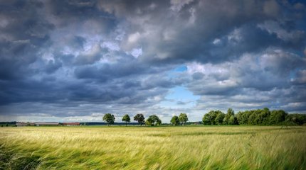 Ветра и грозы: прогноз погоды на 2 мая в мегаполисах страны