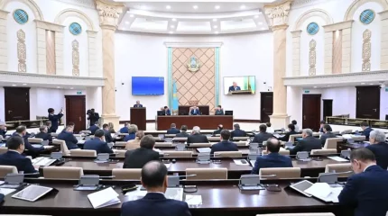 Сенат жаңа туған нәрестеге бірден ЖСН беретін заң нормасын мақұлдады