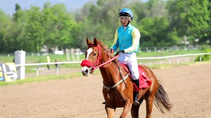 Алматыда Ұлттық спорт қауымдастығының қолдауымен ат жарысы өтті