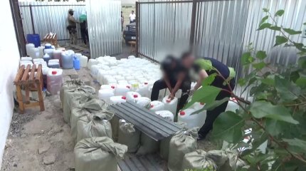 Снижение наказания за распространение наркотиков: кому это выгодно?