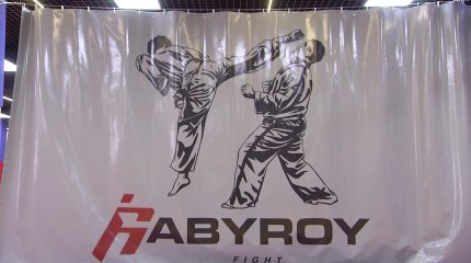 Технике боевых единоборств могут обучиться маленькие астанчане