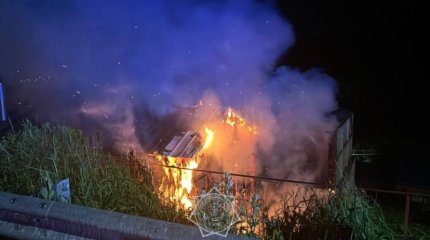 Пожар на базе отдыха произошел в Алматы