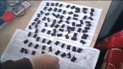 Рудныйда есірткі жасырып кетуші ұсталды