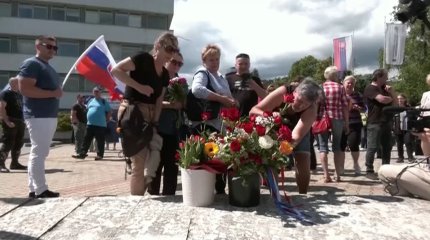 Покушение на премьер-министра Словакии могло быть спланировано группой лиц