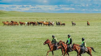 «ҰЛЫ ДАЛА ЖОРЫҒЫ-2024»: ҮШІНШІ КҮННІҢ ҚОРЫТЫНДЫСЫ