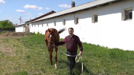 Еліміздегі жалғыз мемлекеттік жылқы зауытына қолдау керек