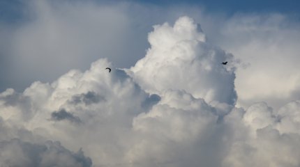 Заморозки, грозы, град и порывистый ветер: синоптики озвучили неутешительный прогноз погоды на 23-25 мая