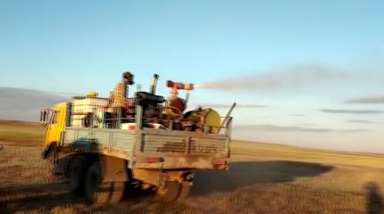 Ақтөбе облысында шегірткеге қарсы 10 мың гектар жер залалсыздандырылды